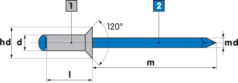 4 x 8